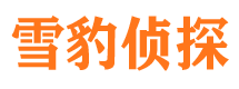 建宁侦探公司